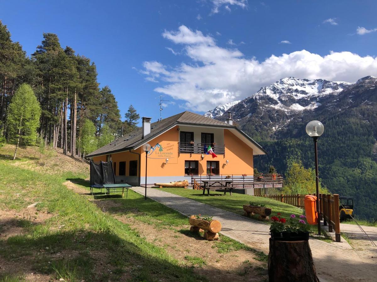 La Locanda Della Pineta Bertonio Buitenkant foto